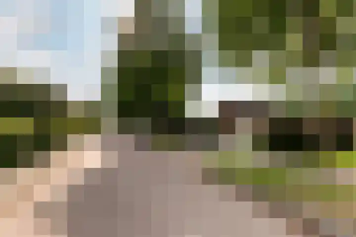 Het Bildt 150 Lelystad thumbnail 32