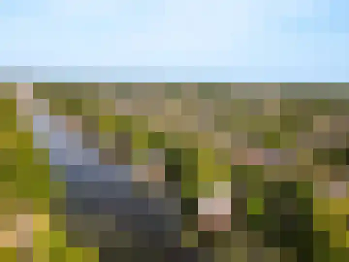 Het Bildt 150 Lelystad thumbnail 4