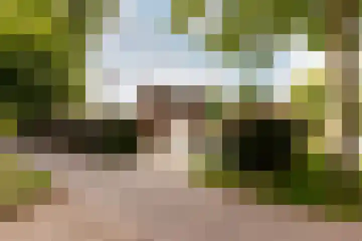 Het Bildt 150 Lelystad thumbnail 5