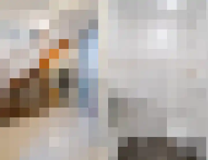 Het Bildt 157 Lelystad thumbnail 11