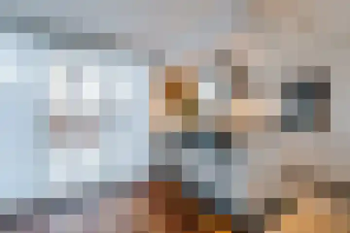 Het Bildt 157 Lelystad thumbnail 25