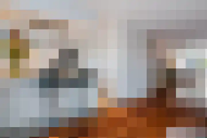 Het Bildt 157 Lelystad thumbnail 29