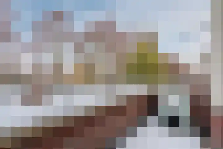 Het Bildt 157 Lelystad thumbnail 37