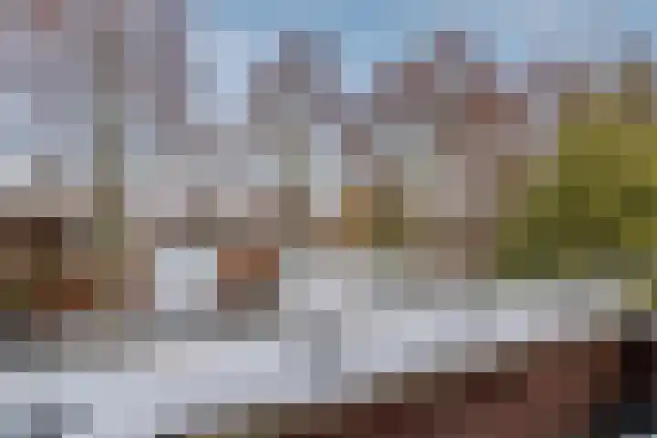 Het Bildt 157 Lelystad thumbnail 38