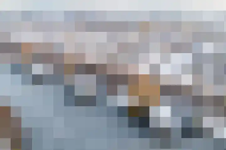 Het Bildt 157 Lelystad thumbnail 5