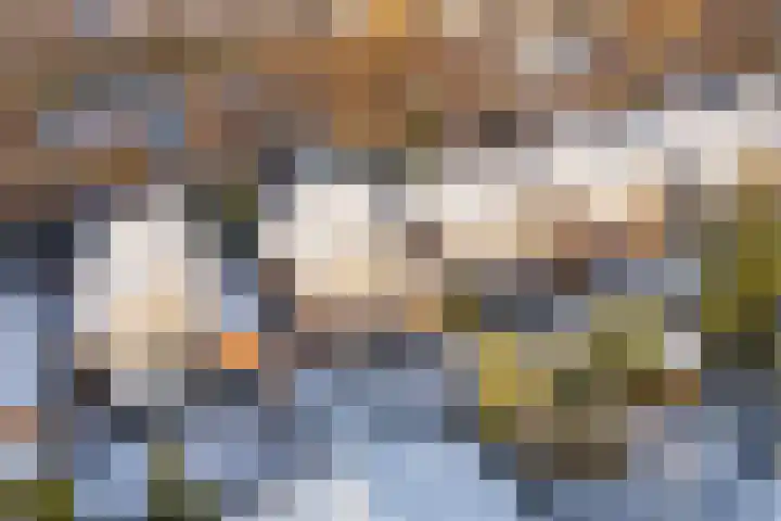 Het Bildt 157 Lelystad thumbnail 58