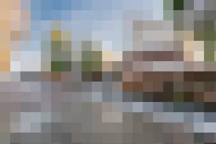 Het Bildt 157 Lelystad thumbnail 6