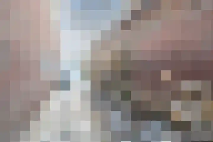 Het Bildt 157 Lelystad thumbnail 71