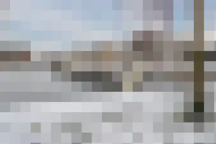 Het Bildt 157 Lelystad thumbnail 73