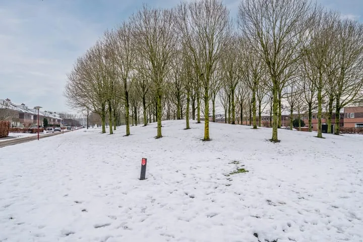Het Bildt 157 Lelystad thumbnail 74