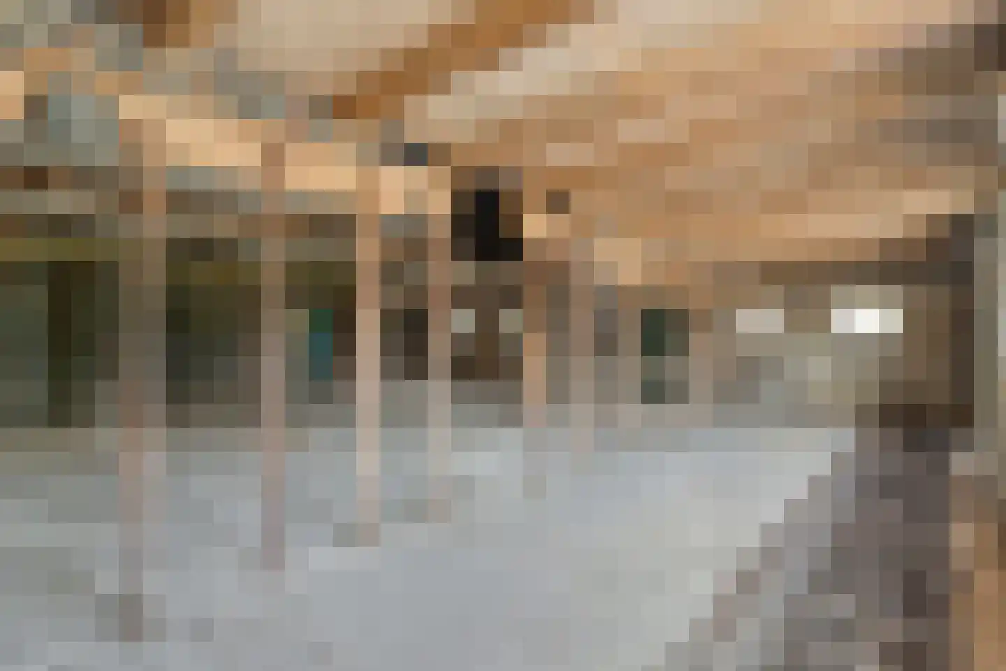 Het Binnenveld 1 Drijber thumbnail 16