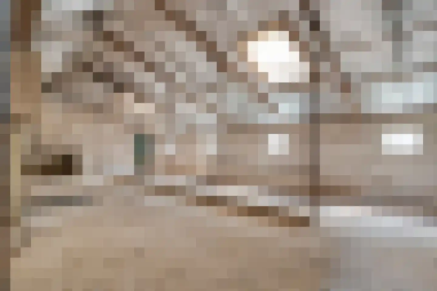 Het Binnenveld 1 Drijber thumbnail 21