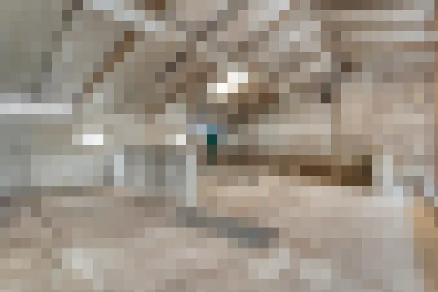 Het Binnenveld 1 Drijber thumbnail 22