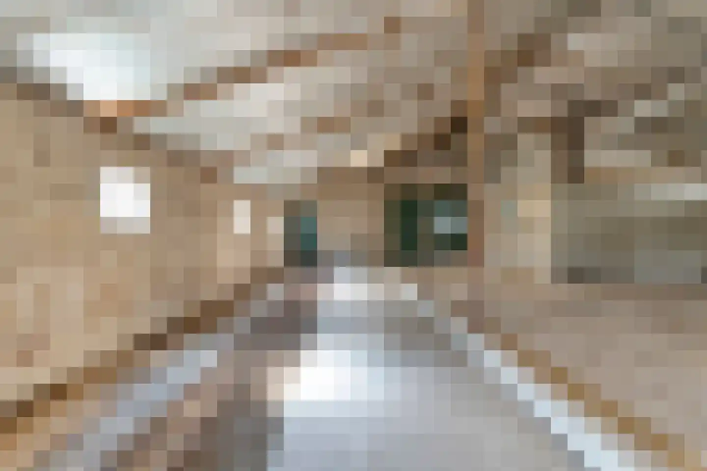 Het Binnenveld 1 Drijber thumbnail 23