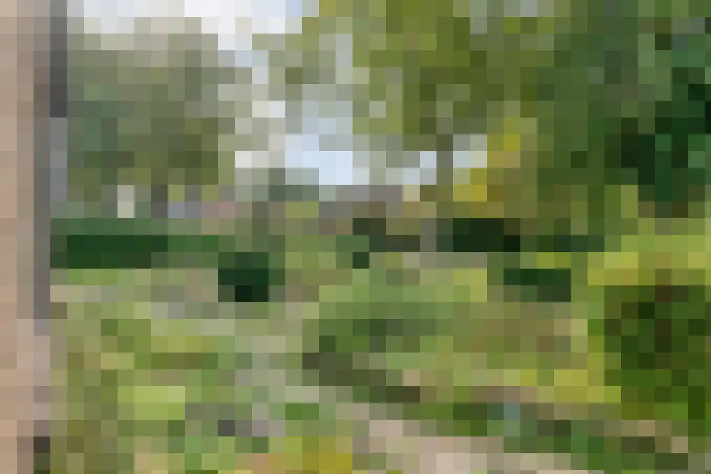 Het Binnenveld 1 Drijber thumbnail 24