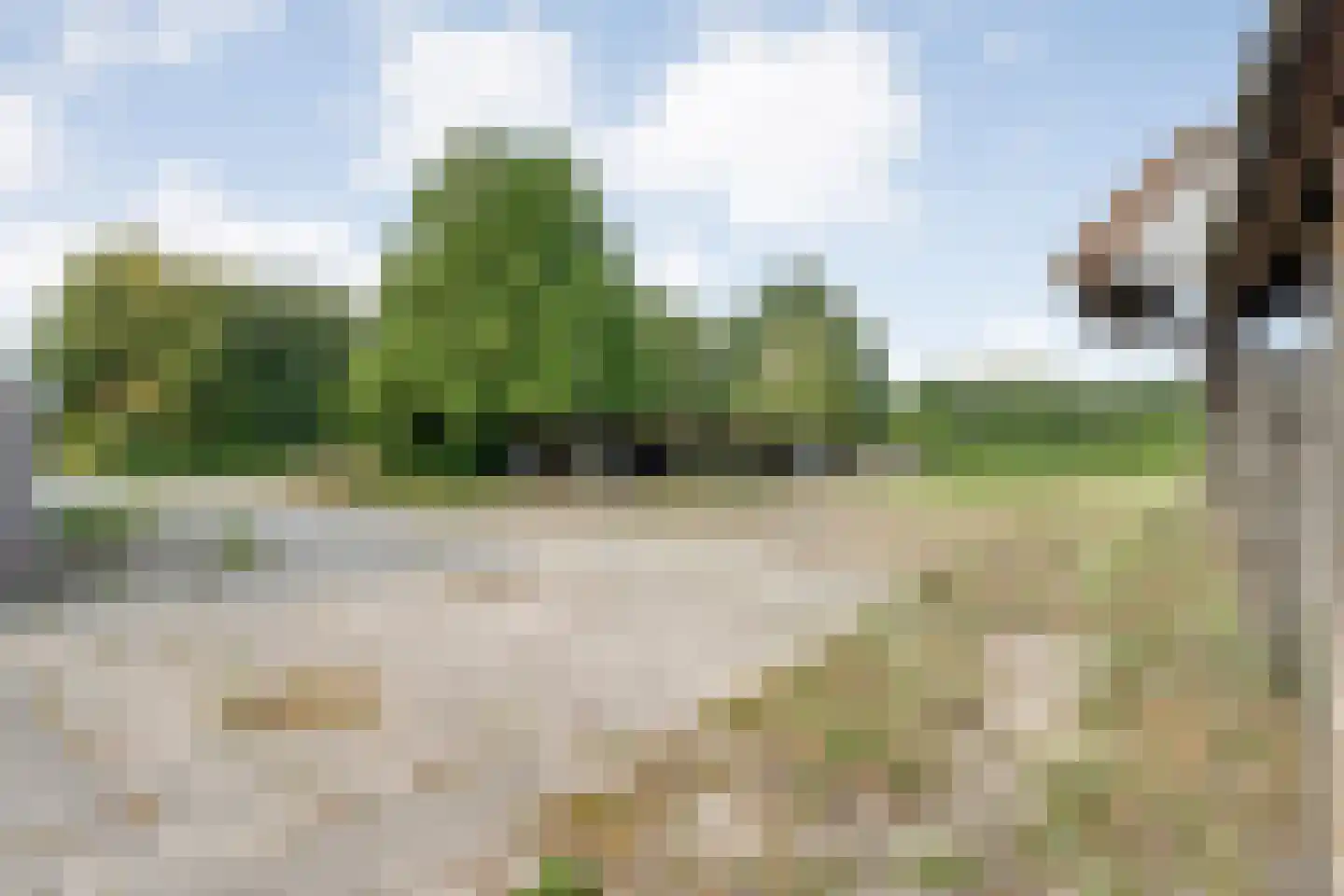 Het Binnenveld 1 Drijber thumbnail 28