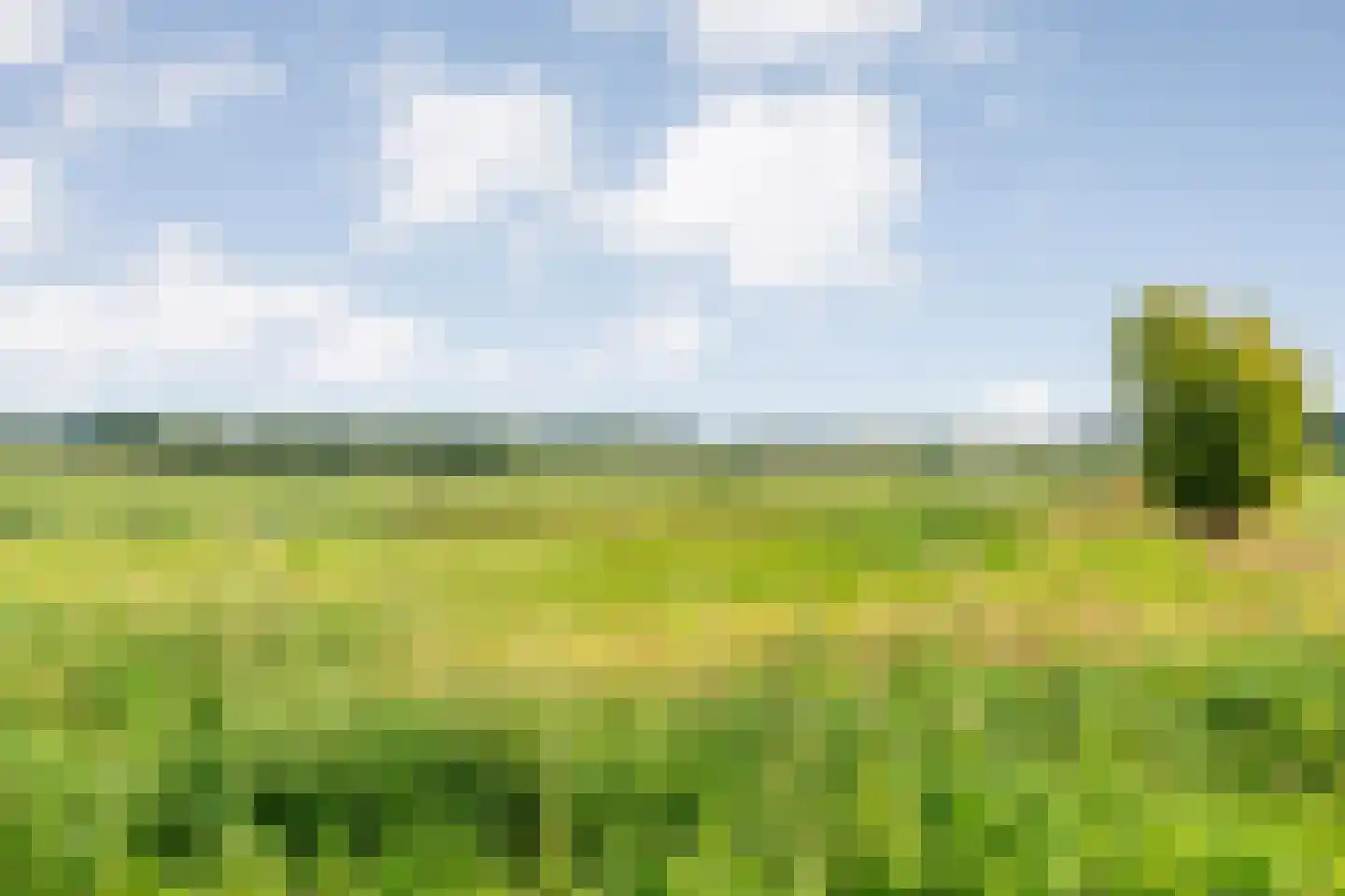 Het Binnenveld 1 Drijber thumbnail 37