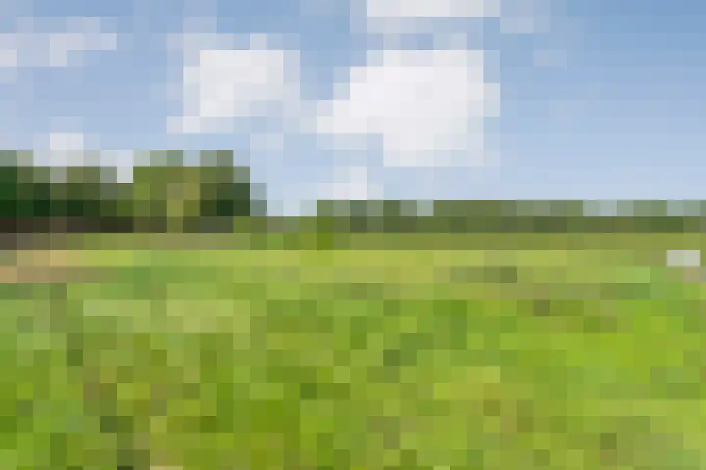 Het Binnenveld 1 Drijber thumbnail 39