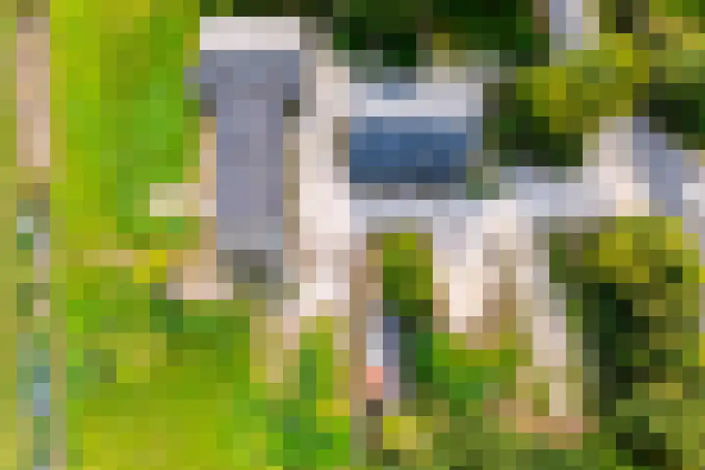 Het Binnenveld 1 Drijber thumbnail 40