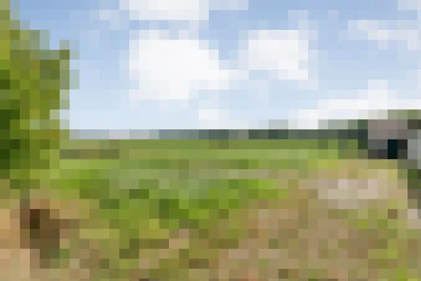 Het Binnenveld 1 Drijber thumbnail 41