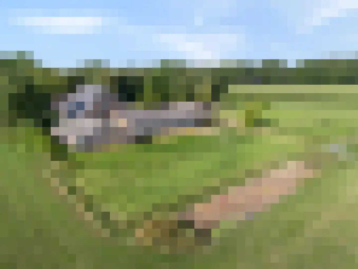 Het Binnenveld 1 Drijber thumbnail 42