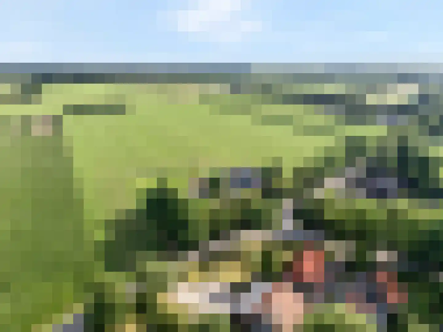 Het Binnenveld 1 Drijber thumbnail 5