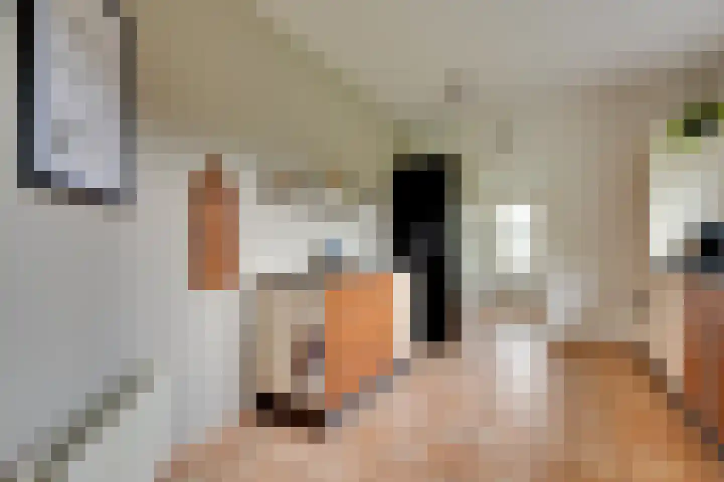 Het Binnenveld 14 Drijber thumbnail 11