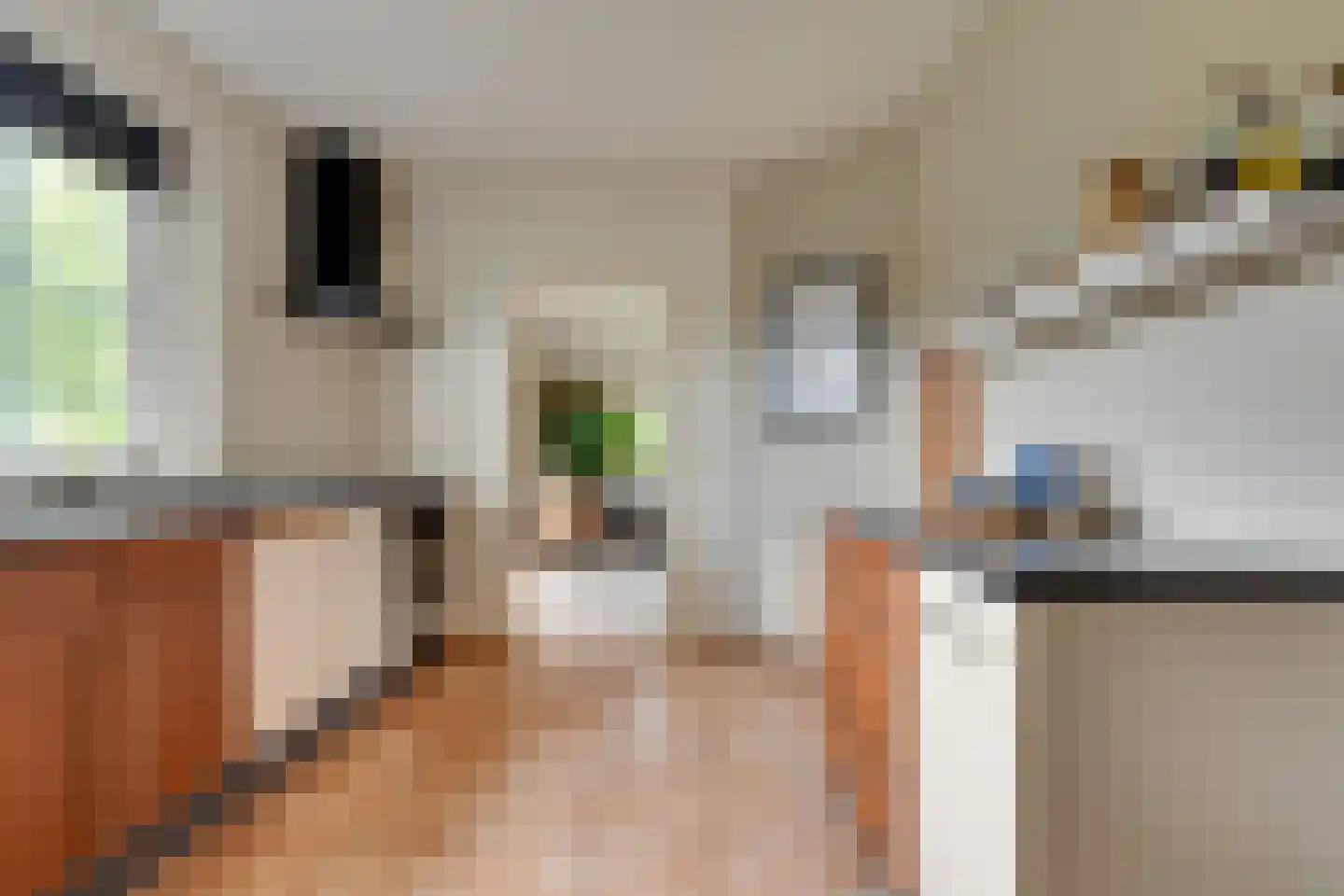 Het Binnenveld 14 Drijber thumbnail 12