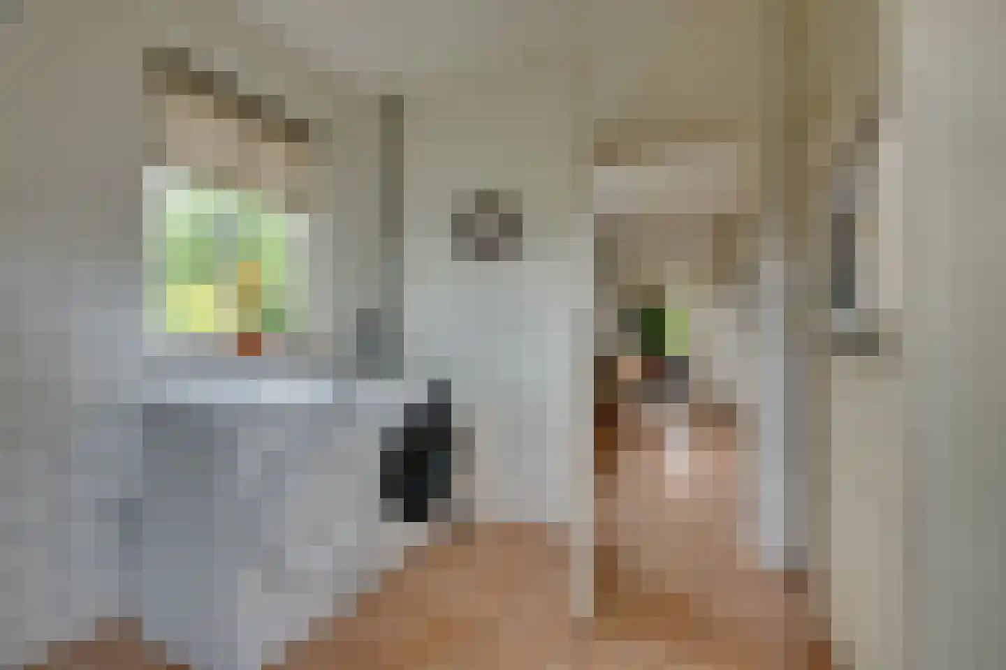 Het Binnenveld 14 Drijber thumbnail 13
