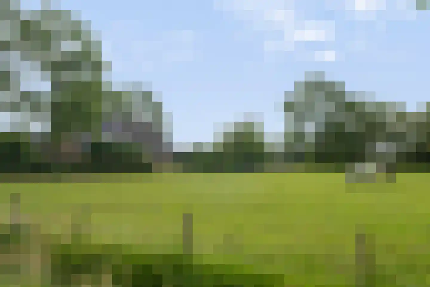 Het Binnenveld 14 Drijber foto 2
