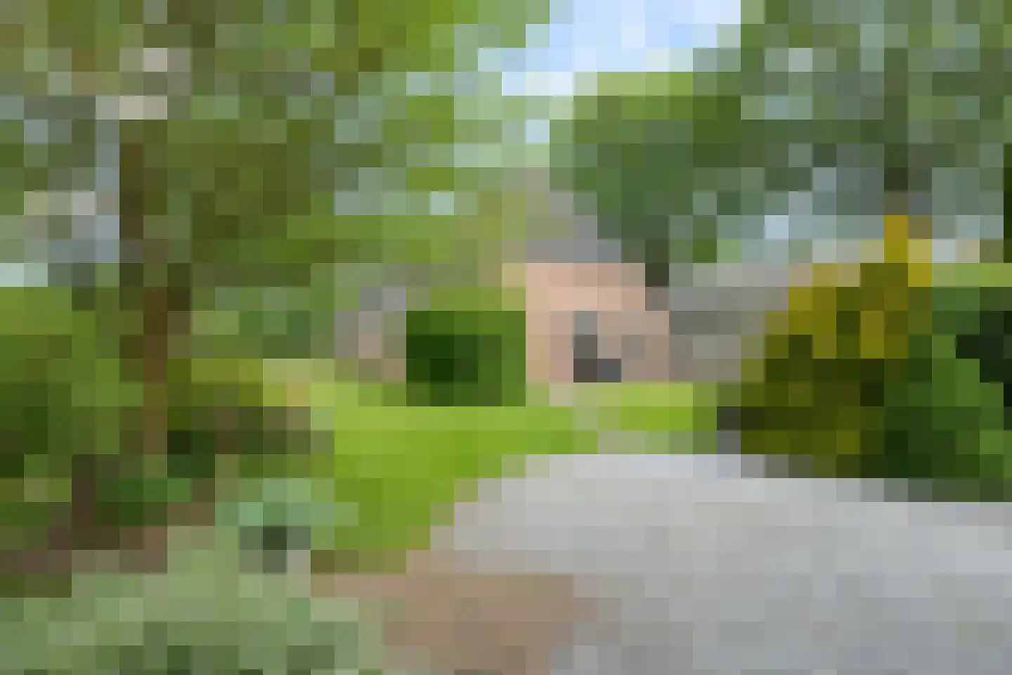 Het Binnenveld 14 Drijber thumbnail 34
