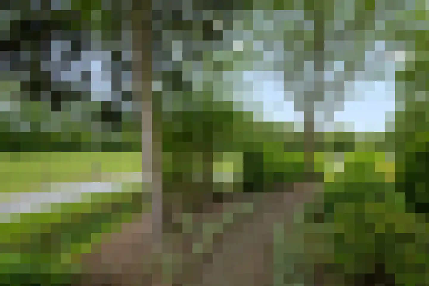 Het Binnenveld 14 Drijber thumbnail 38