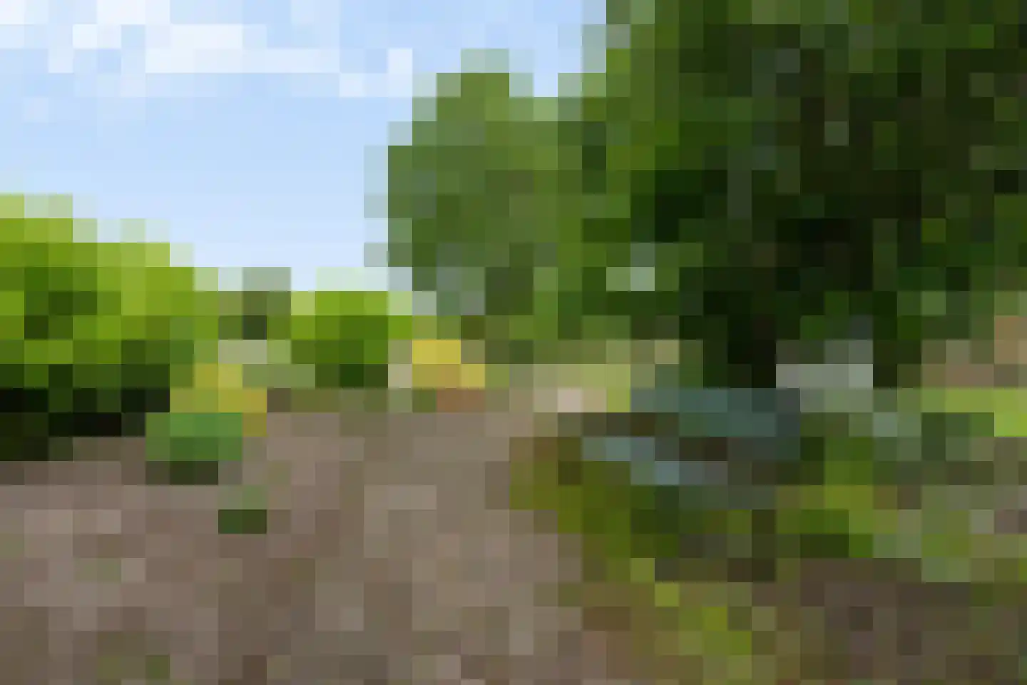 Het Binnenveld 14 Drijber thumbnail 39