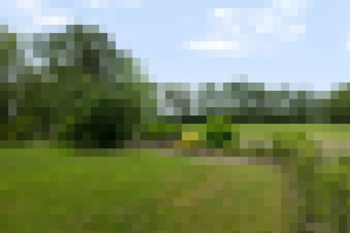 Het Binnenveld 14 Drijber thumbnail 42