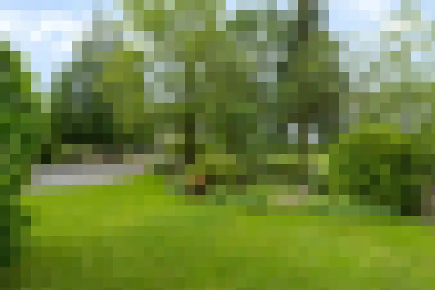 Het Binnenveld 14 Drijber thumbnail 43