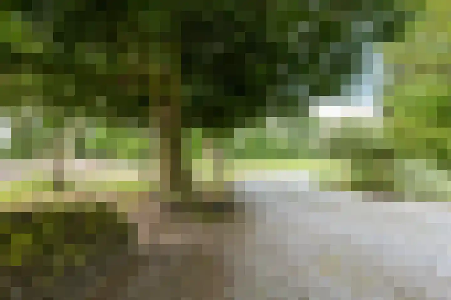 Het Binnenveld 14 Drijber thumbnail 47