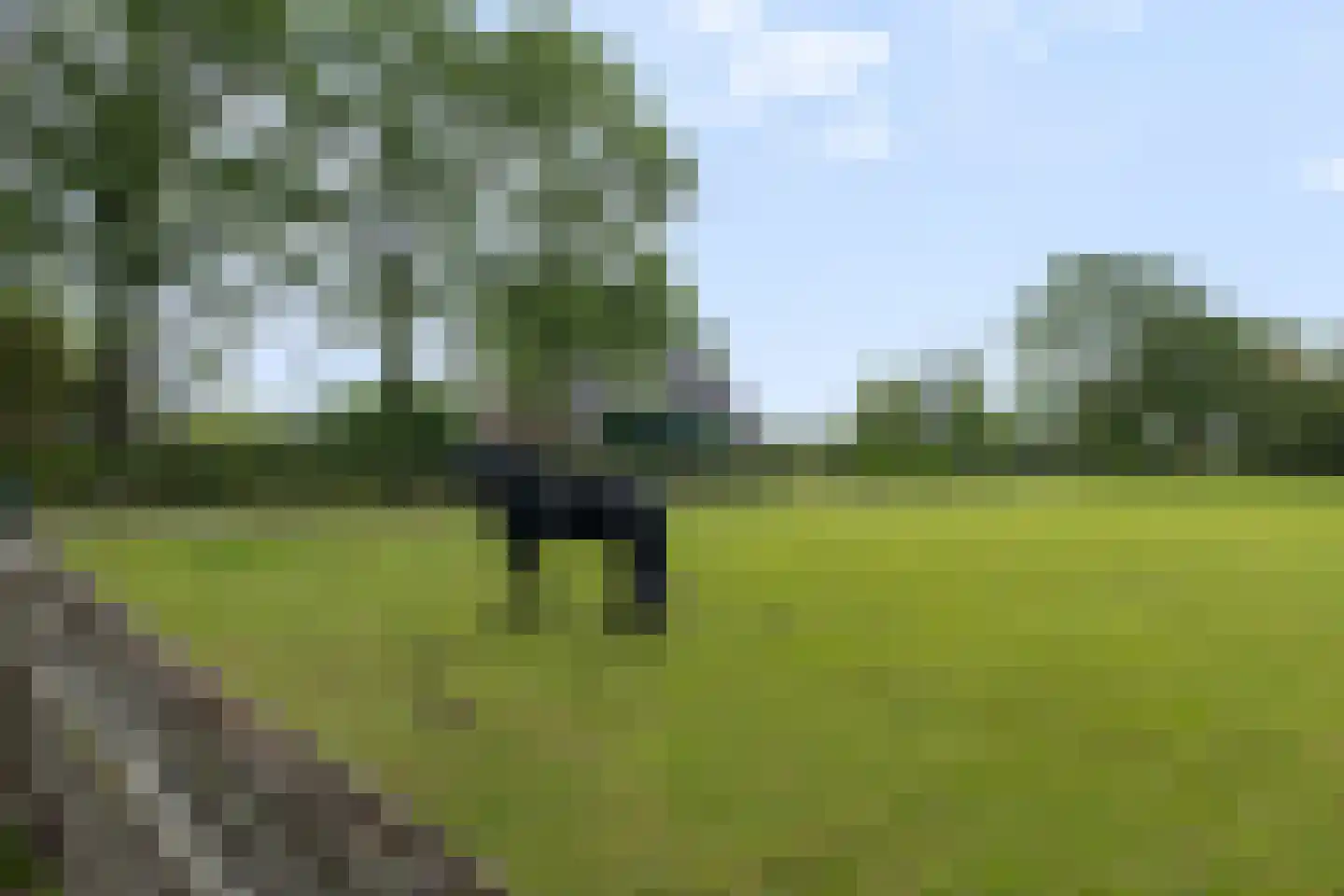 Het Binnenveld 14 Drijber thumbnail 48