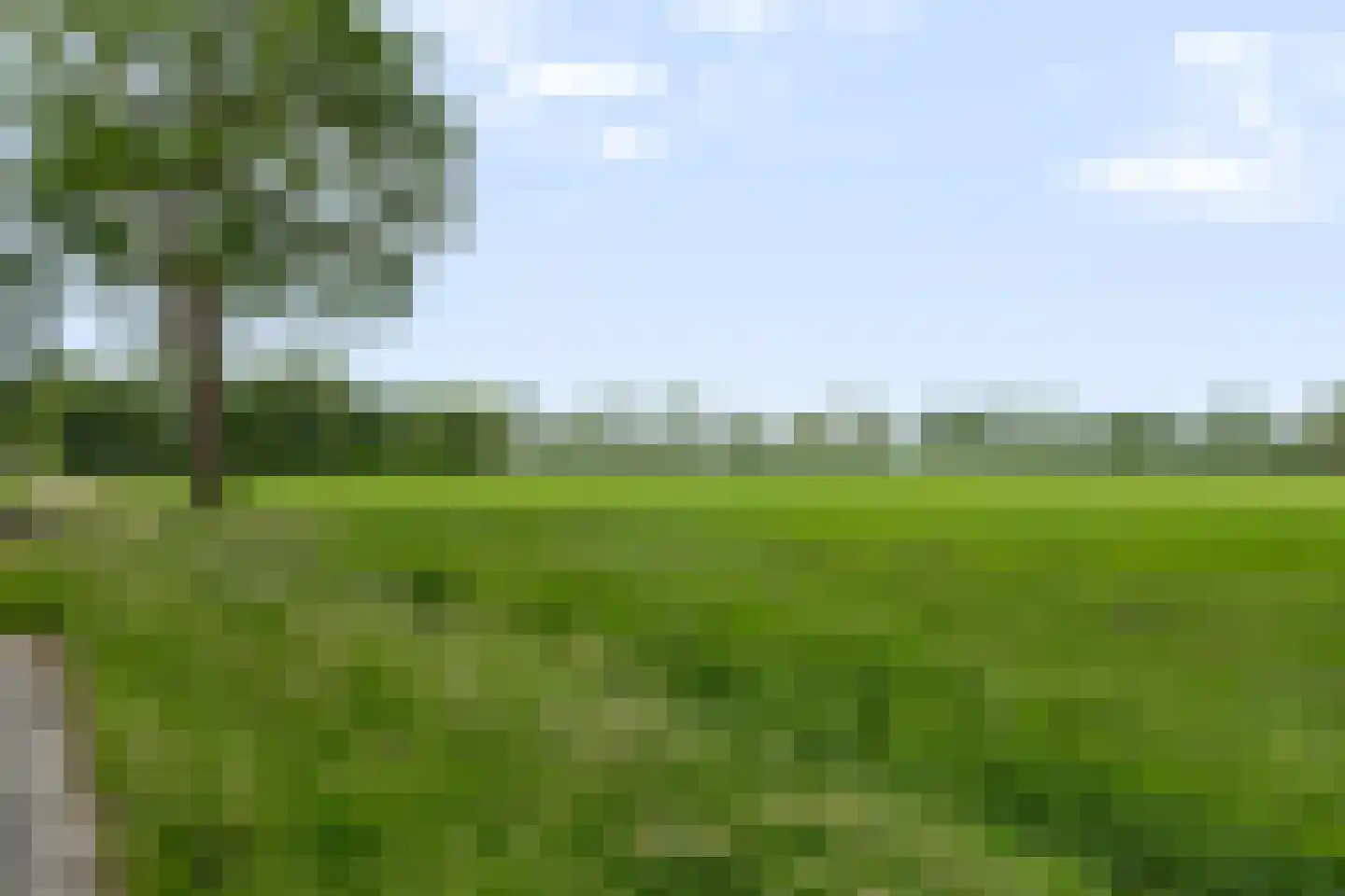 Het Binnenveld 14 Drijber thumbnail 50