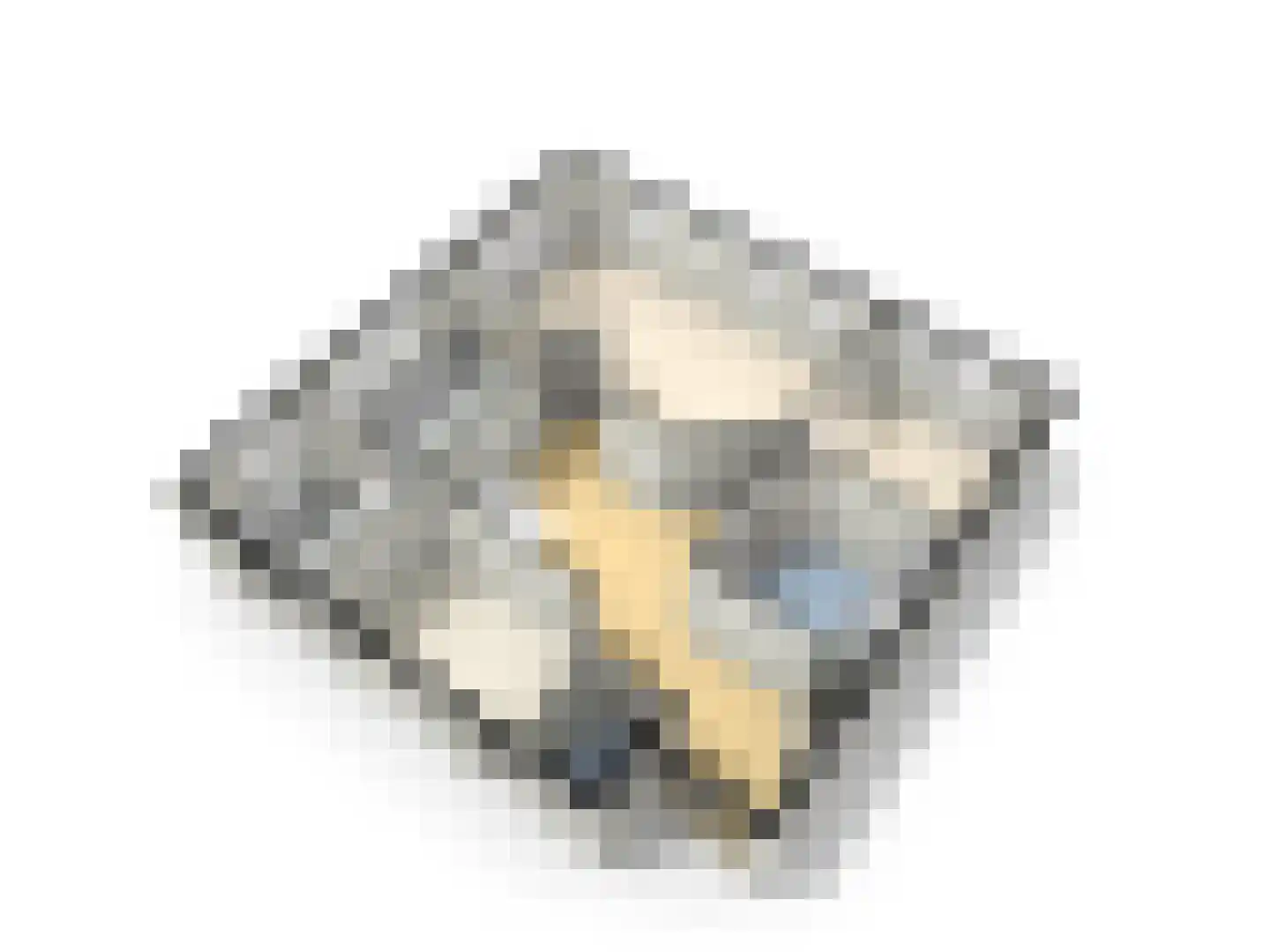 Het Binnenveld 14 Drijber thumbnail 52