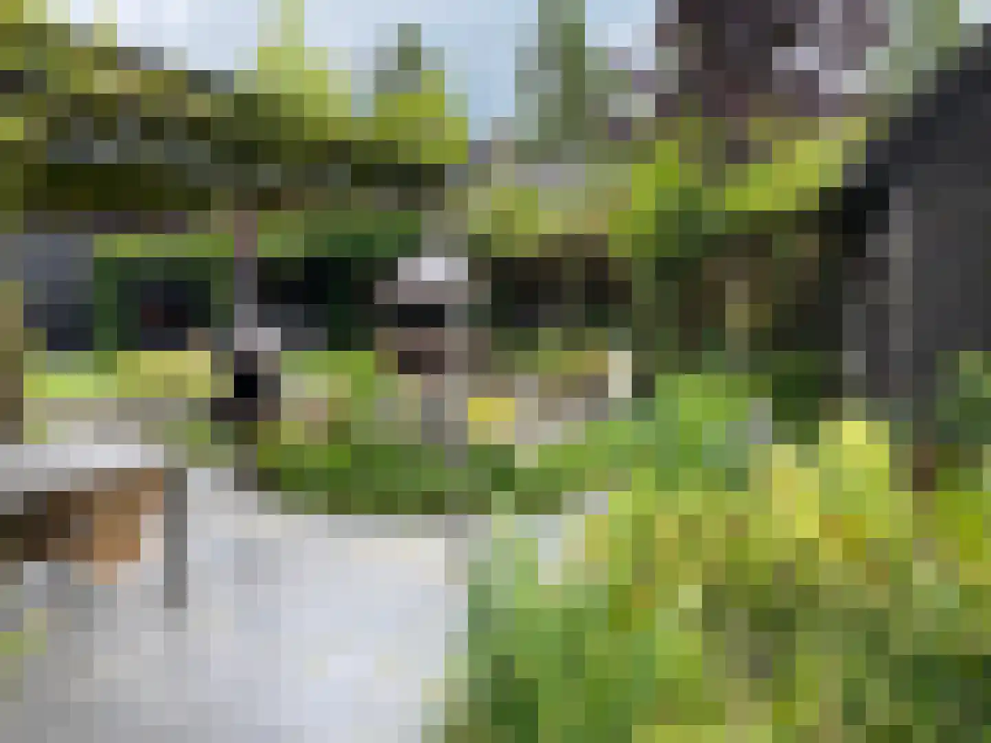 Het Binneveld 22 Sint-Oedenrode thumbnail 44