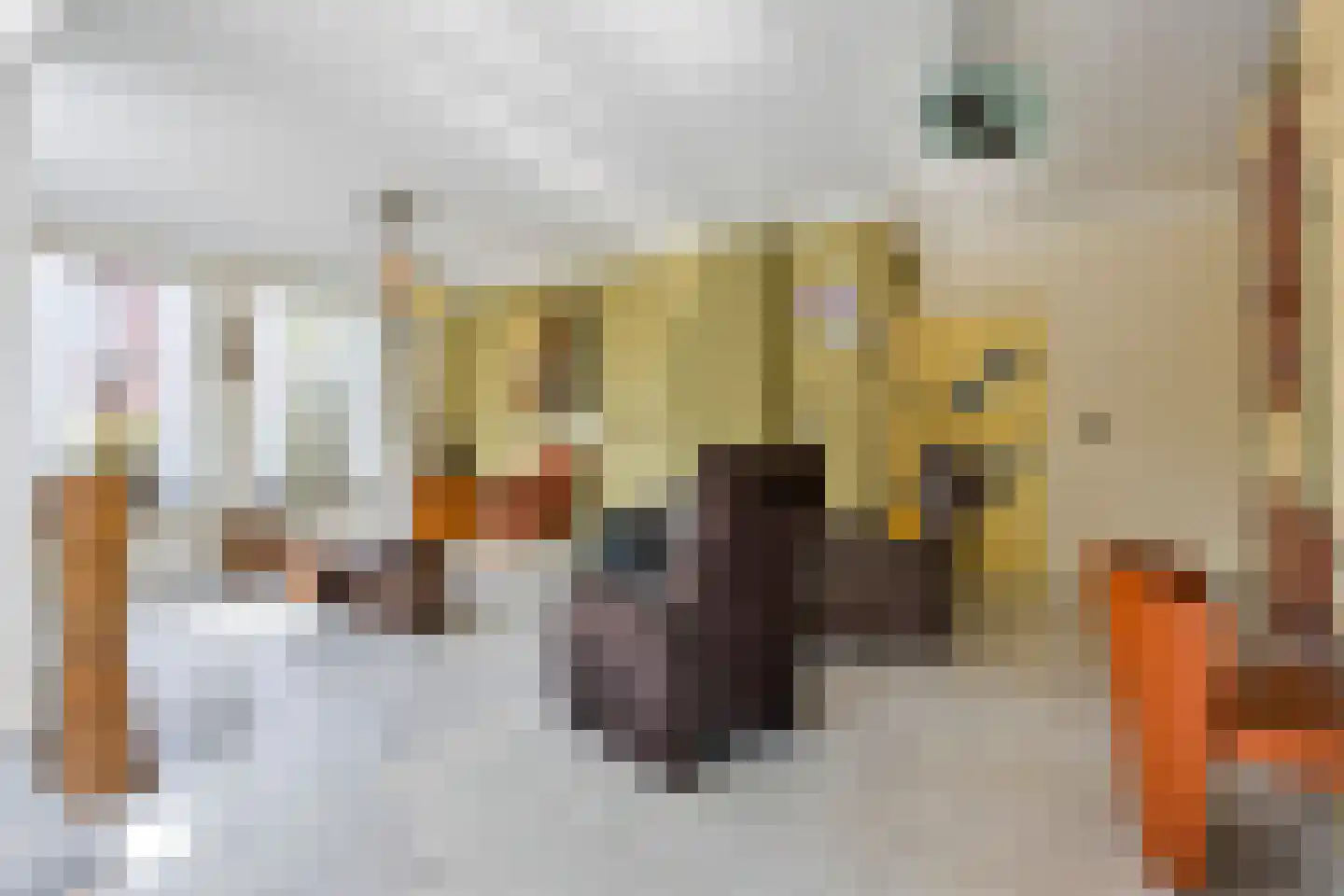 Het Binneveld 22 Sint-Oedenrode thumbnail 8