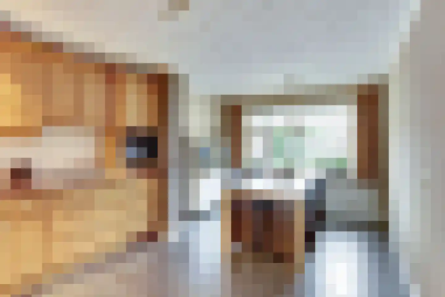 het Bivank 21 Nieuw Heeten thumbnail 10