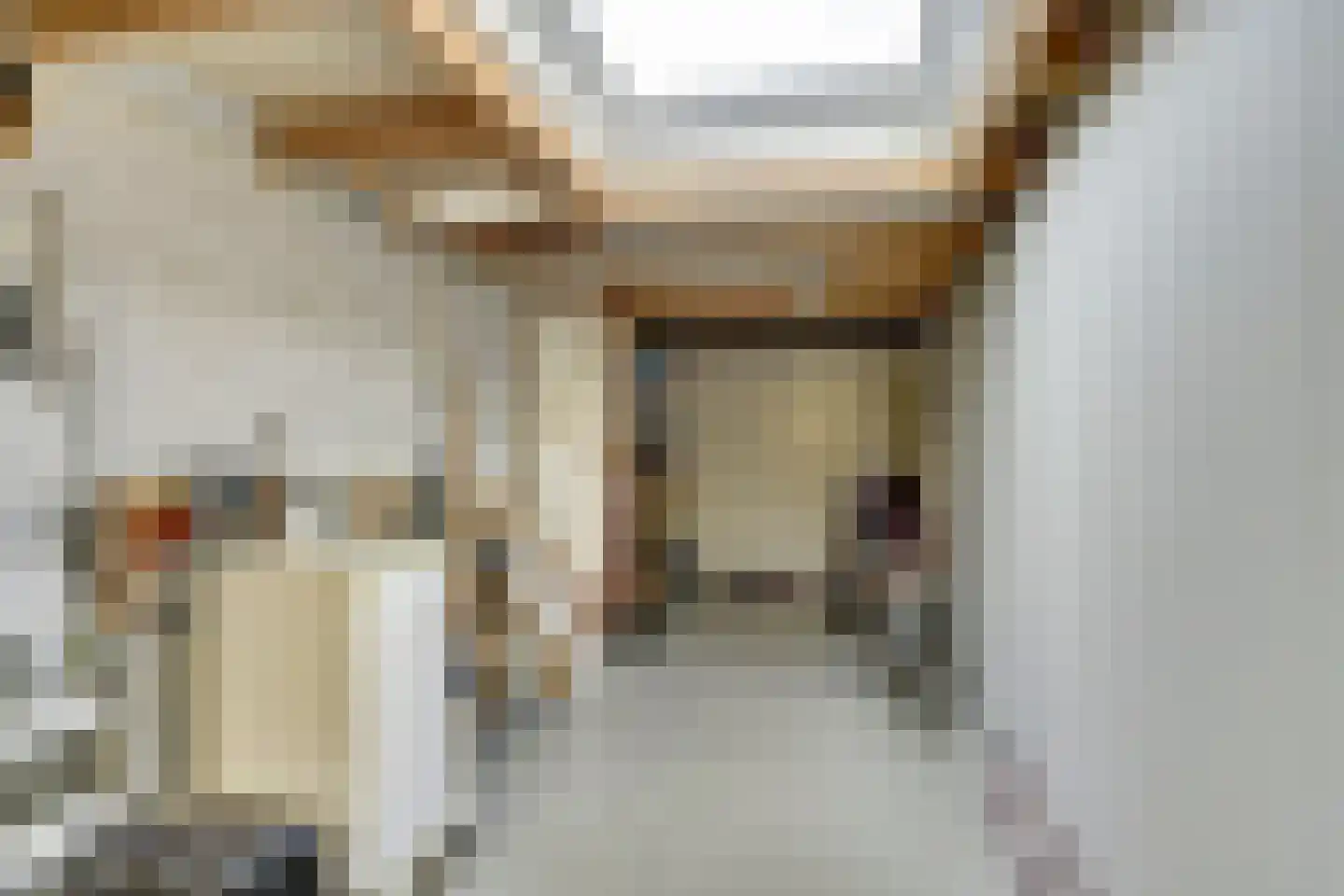 het Bivank 21 Nieuw Heeten thumbnail 13