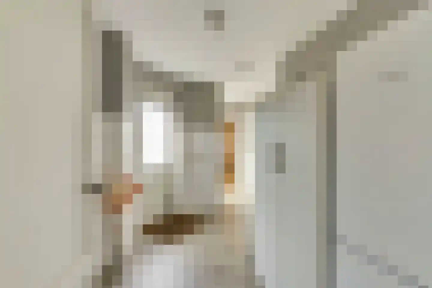 het Bivank 21 Nieuw Heeten thumbnail 14