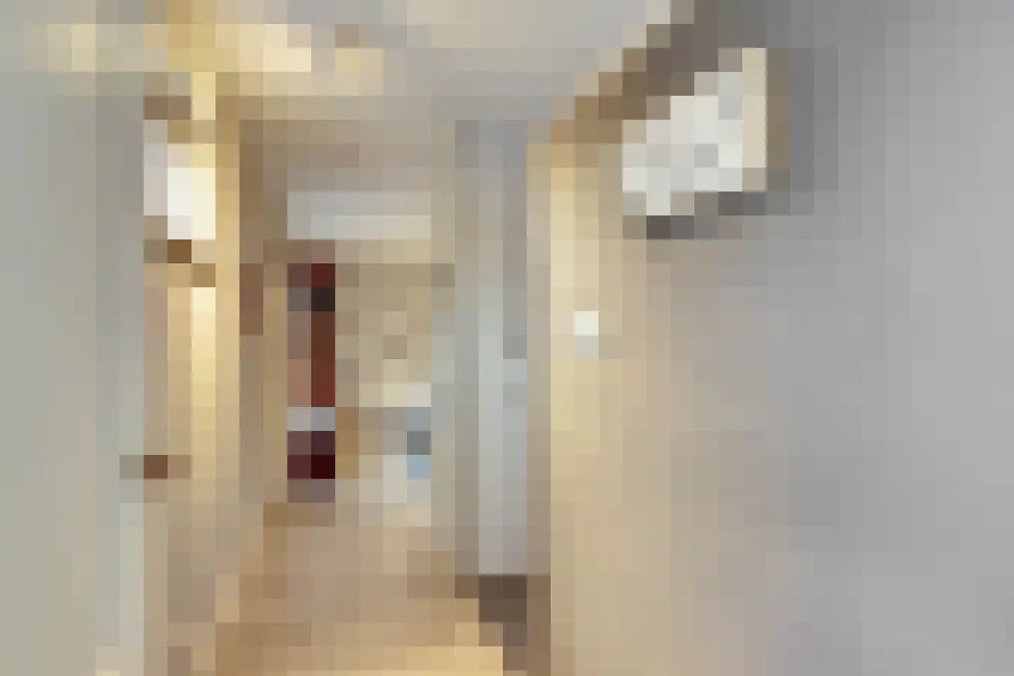 het Bivank 21 Nieuw Heeten thumbnail 15