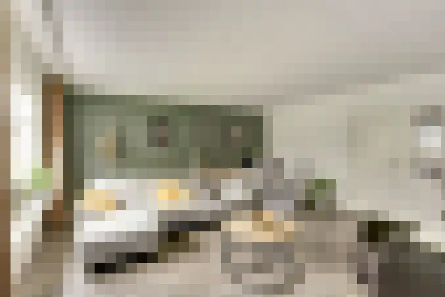 het Bivank 21 Nieuw Heeten foto 2