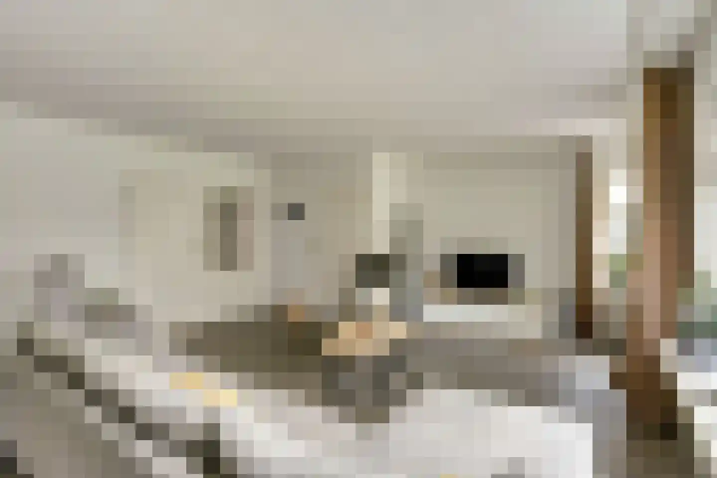 het Bivank 21 Nieuw Heeten thumbnail 8