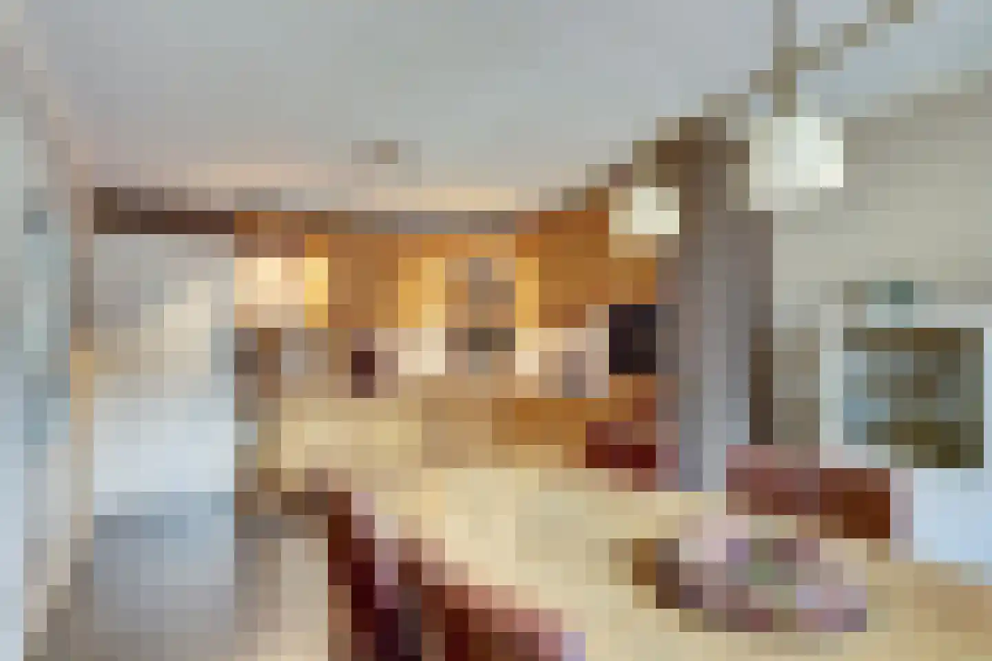 het Bivank 21 Nieuw Heeten thumbnail 9