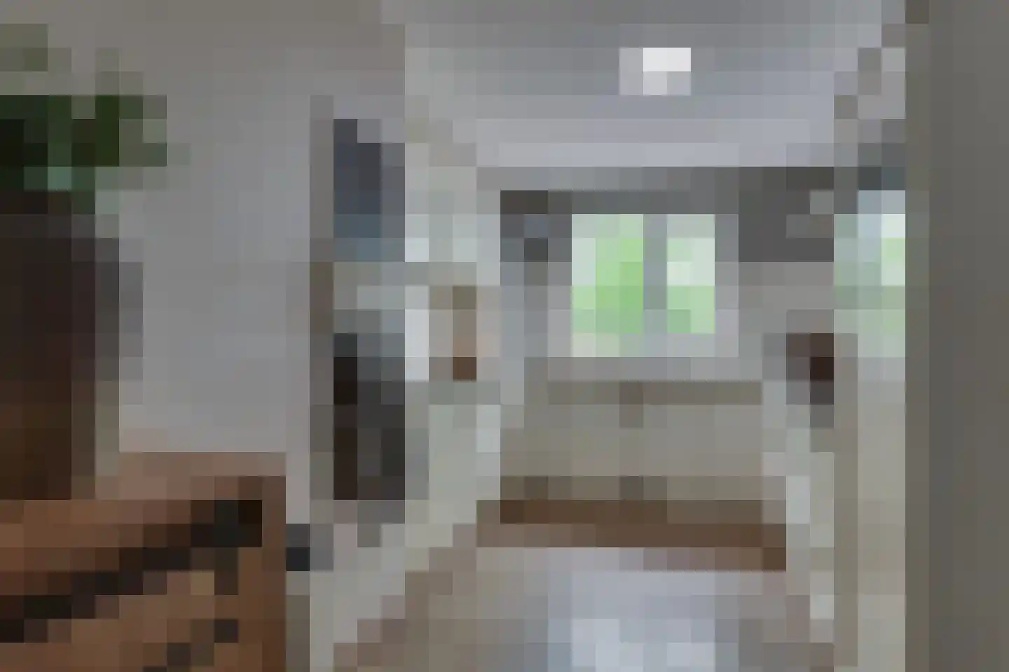 het Bivank 31 Nieuw Heeten thumbnail 10