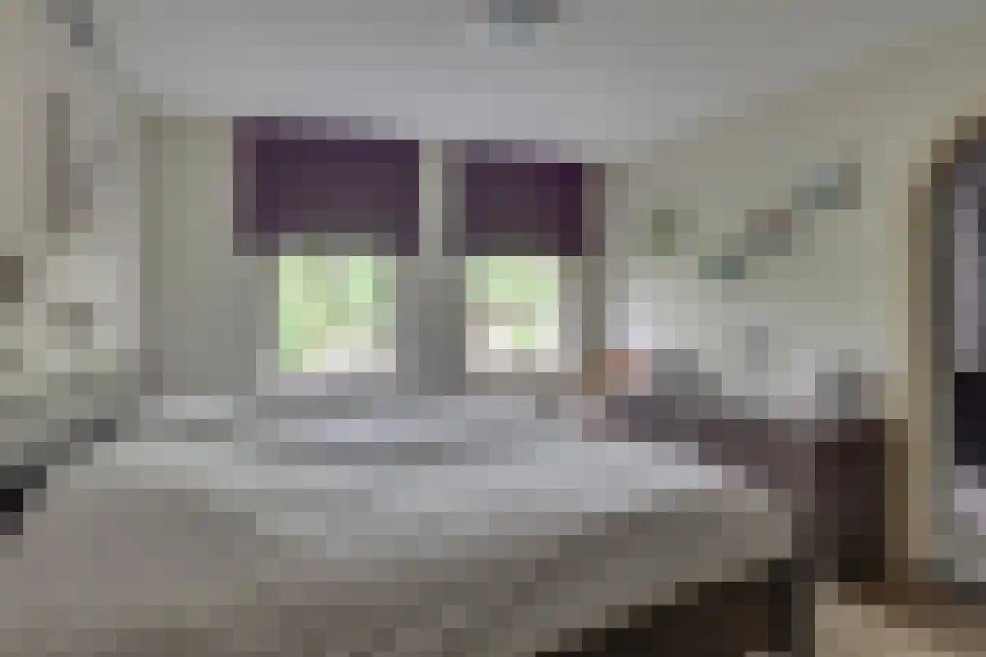 het Bivank 31 Nieuw Heeten thumbnail 14